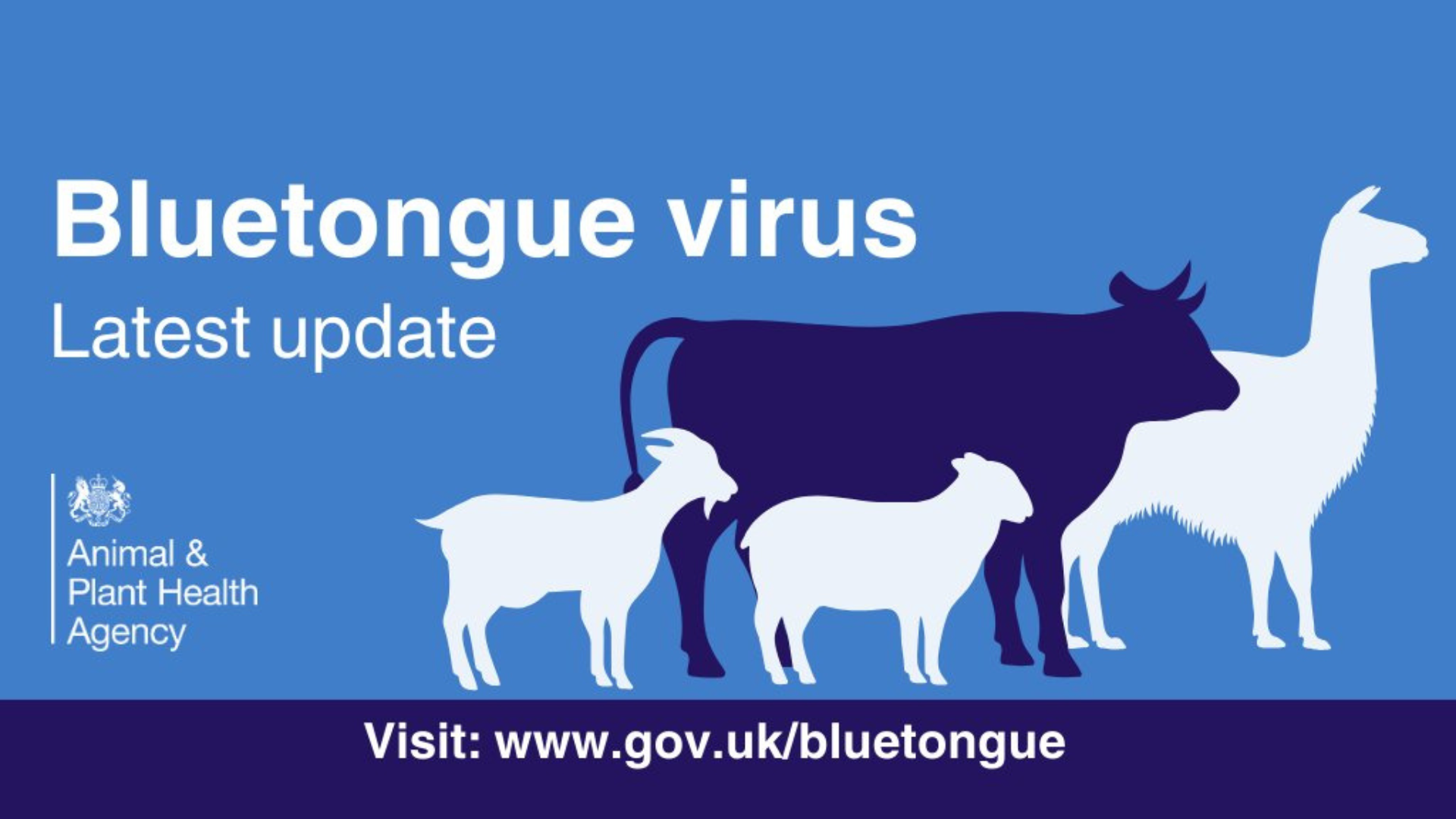 Bluetongue virus. Latest update. www.gov.uk/bluetongue