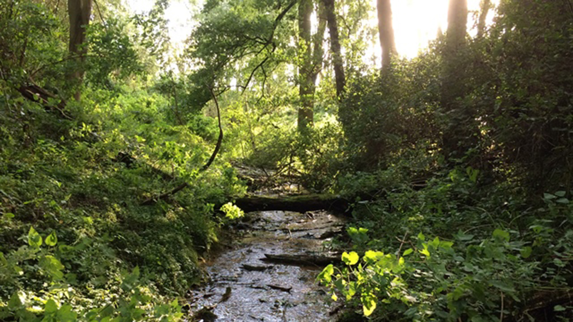 Volunteers In Lincolnshire Thanked For Vital Role In Pioneering River 