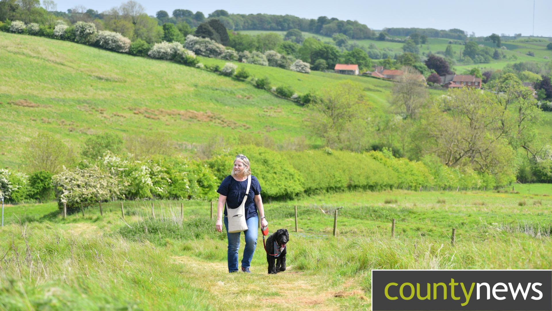 A person walks their dog through a section of the Wolds