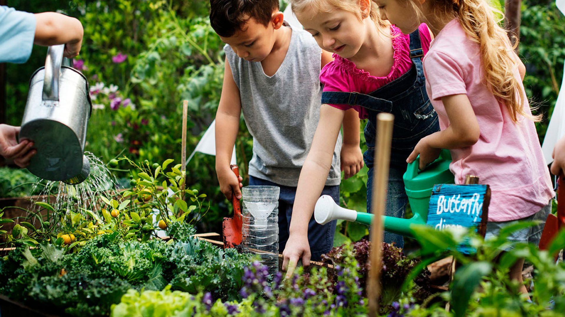 children digging in a garden