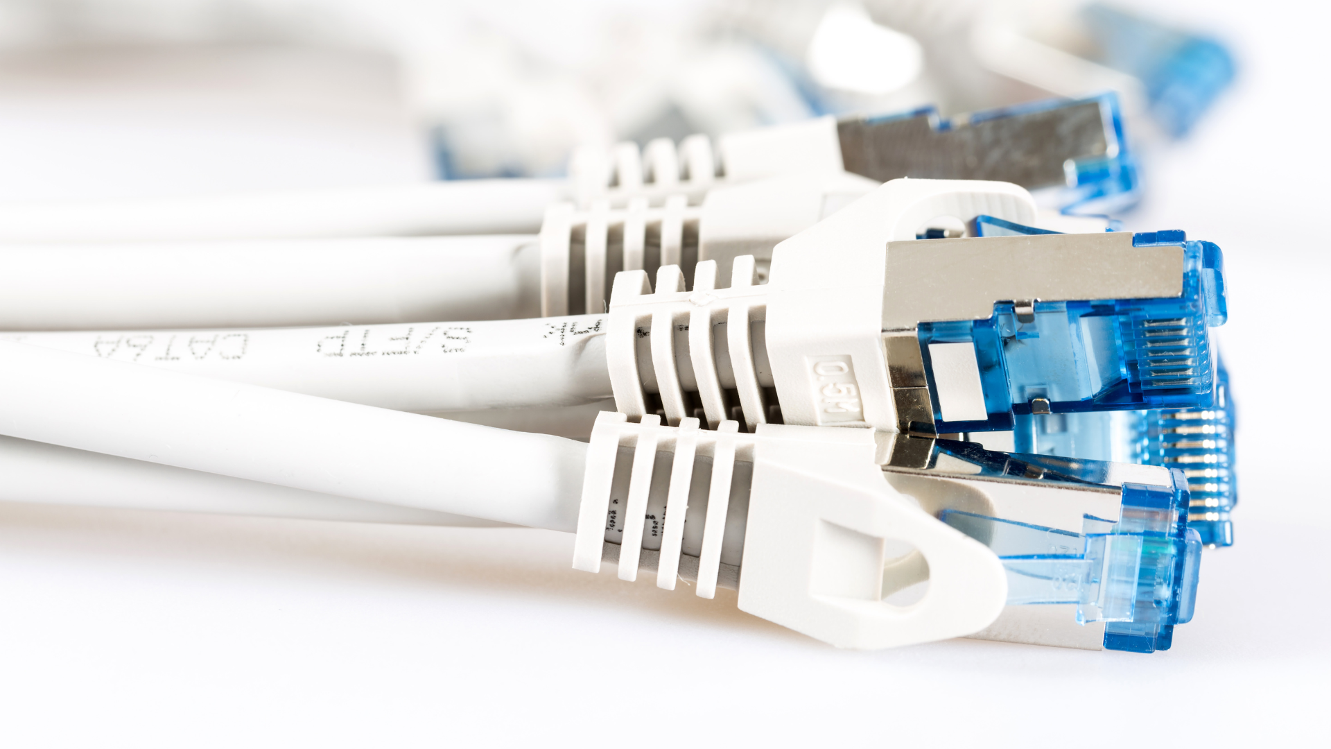 White ethernet cables with blue ends