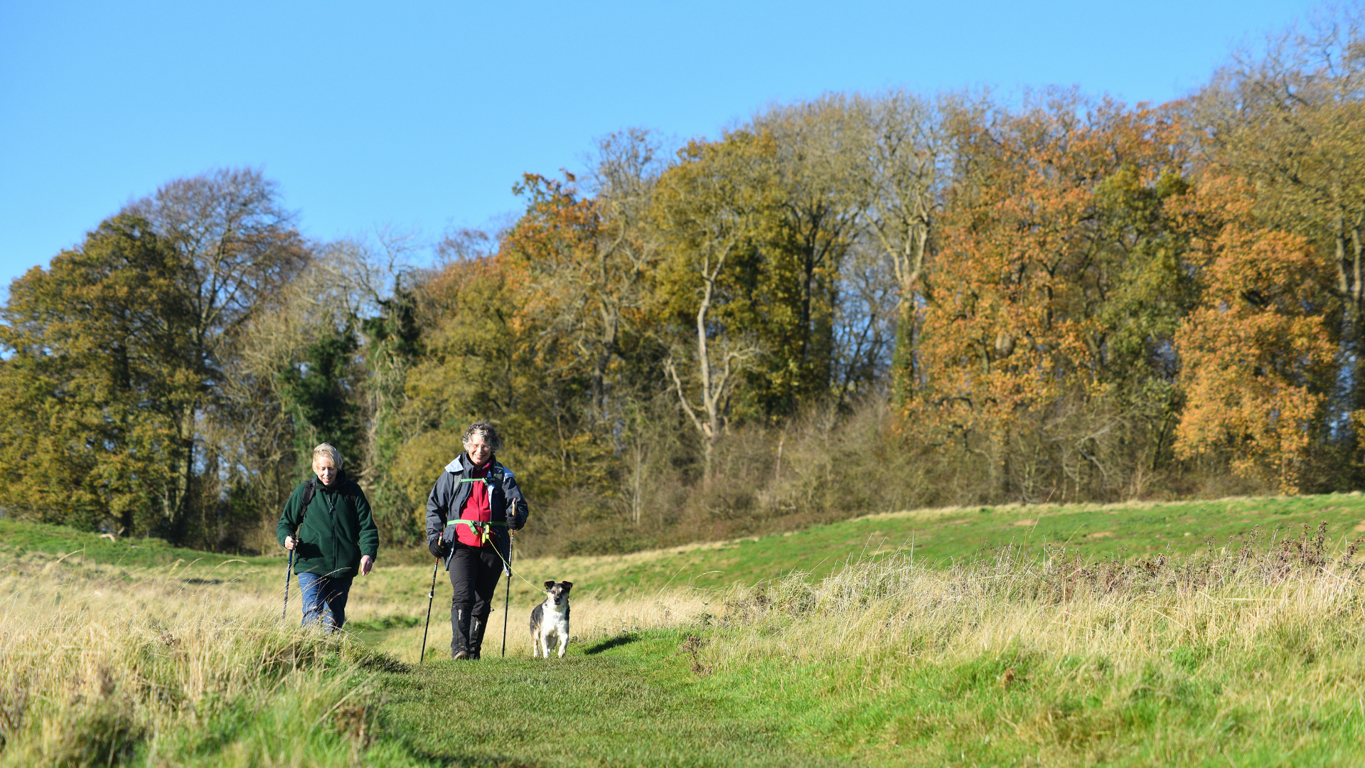 Two walkers and their dog traverse the Viking Way