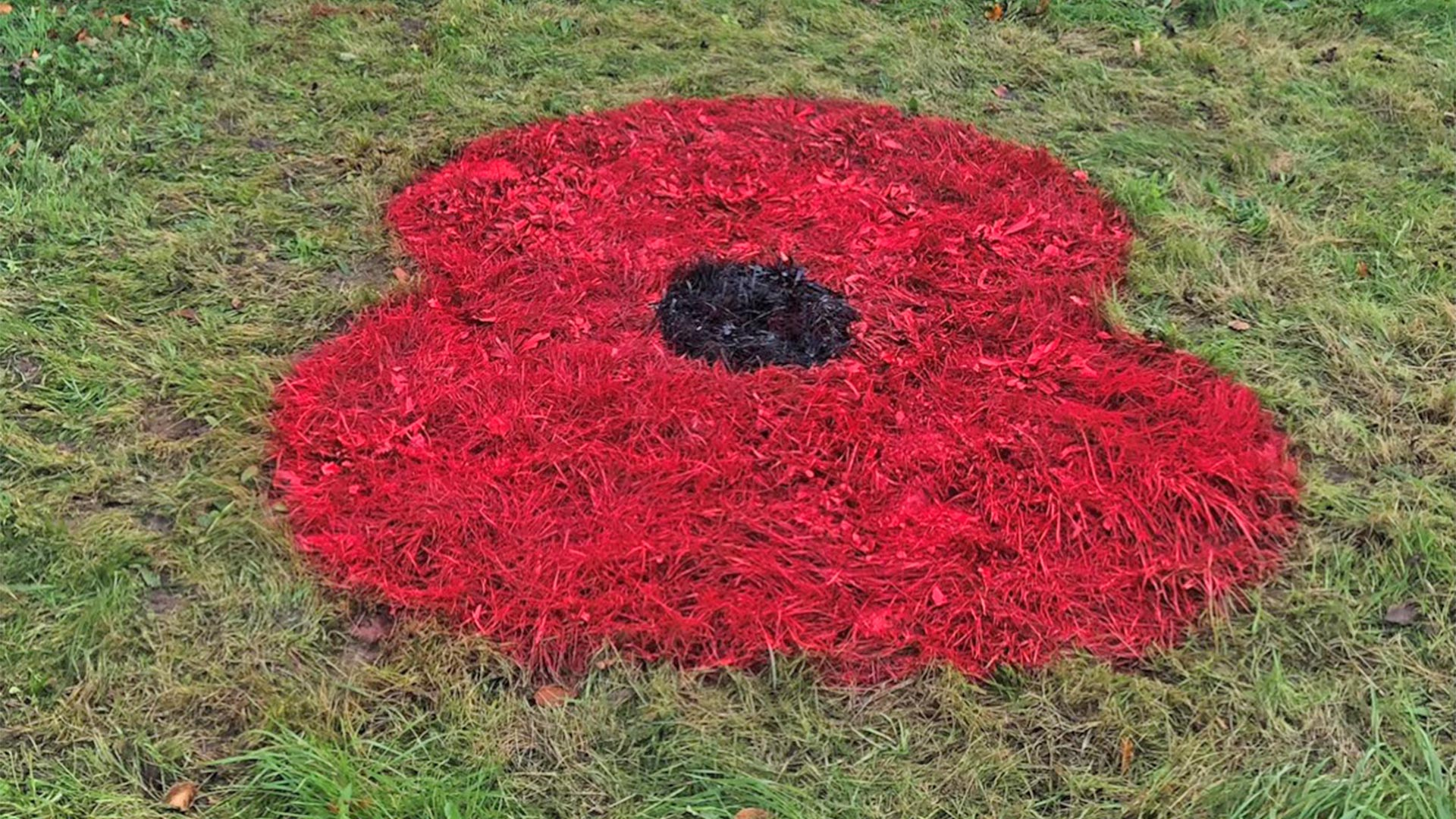 A poppy that has been painted onto a roundabout