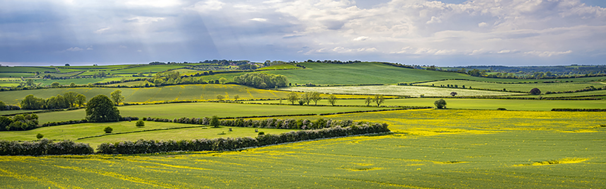 Image of the wolds near red hill