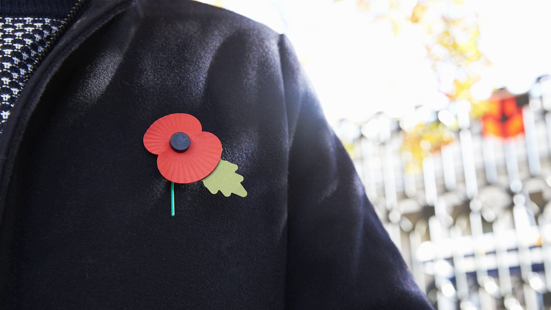 Man wearing a Remembrance Day poppy.