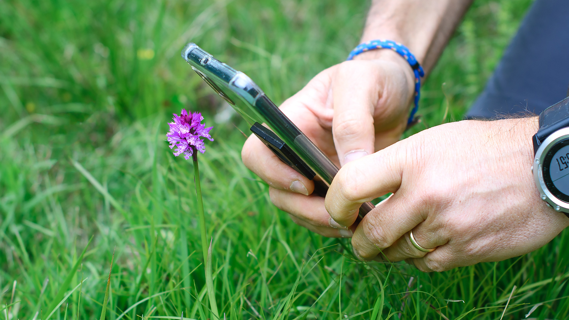 Flower photography with phone