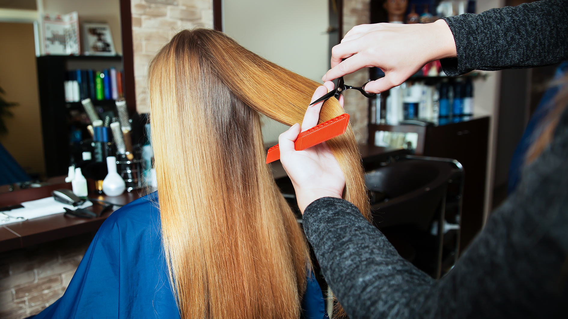 Hairdresser cutting hair